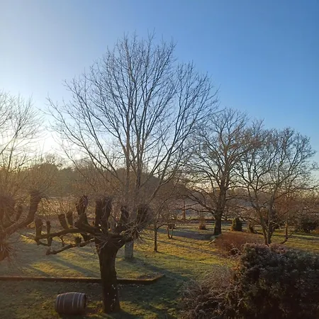 La Longere Bordeaux De Caractere Avec Piscine Cenac